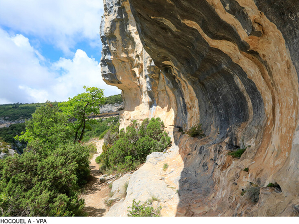 Activités près de la maison d'hôte la Honas - les Gorges de la Nesque